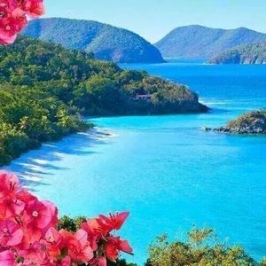 Meet your Posher, Eileen